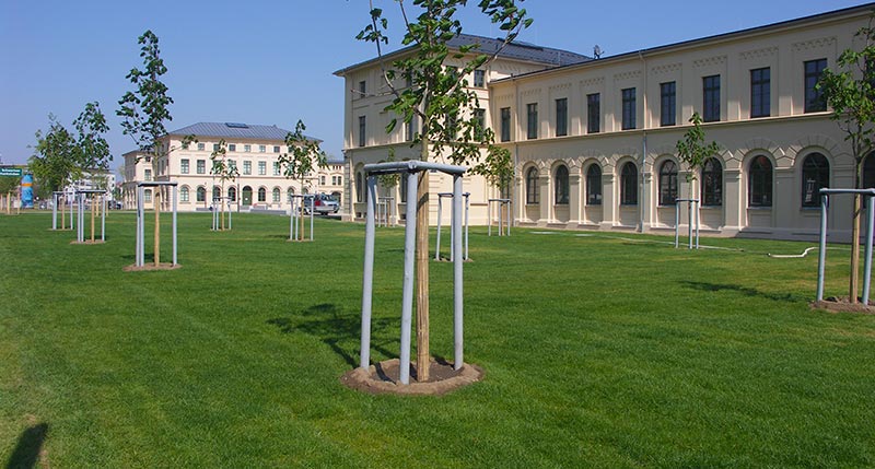 baumsubstrate-ggs baumsubstrate ggs