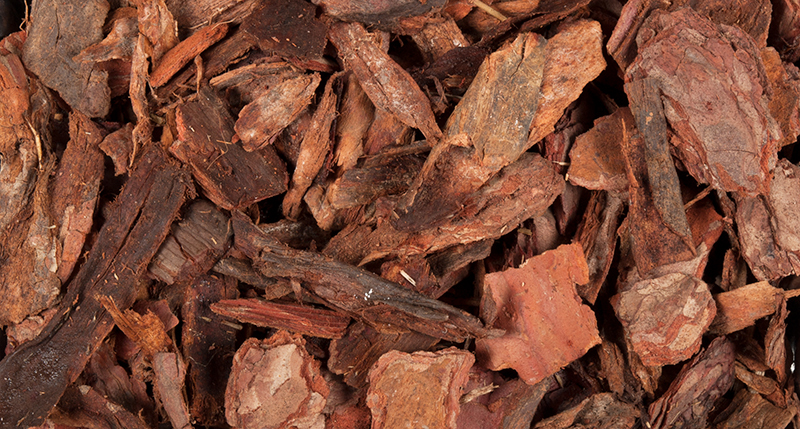 Rindenmulch In Staudenpflanzungen Ggs