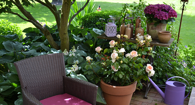 Blumen auf Terrasse