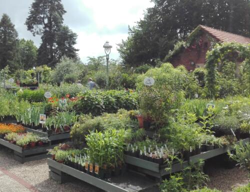 „Soil studies“ for gardeners