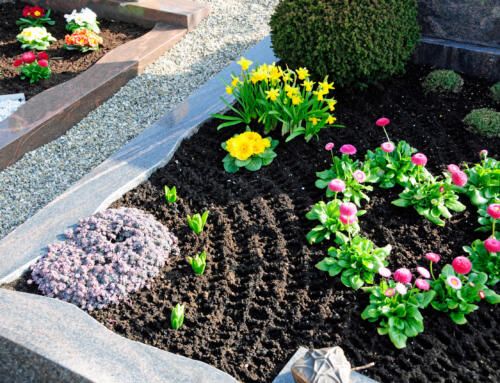 Graveside garden soil: velvet cover for the final resting place