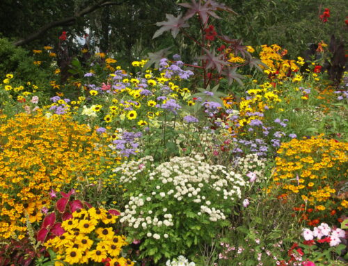 Besserer Boden mit Rindenhumus