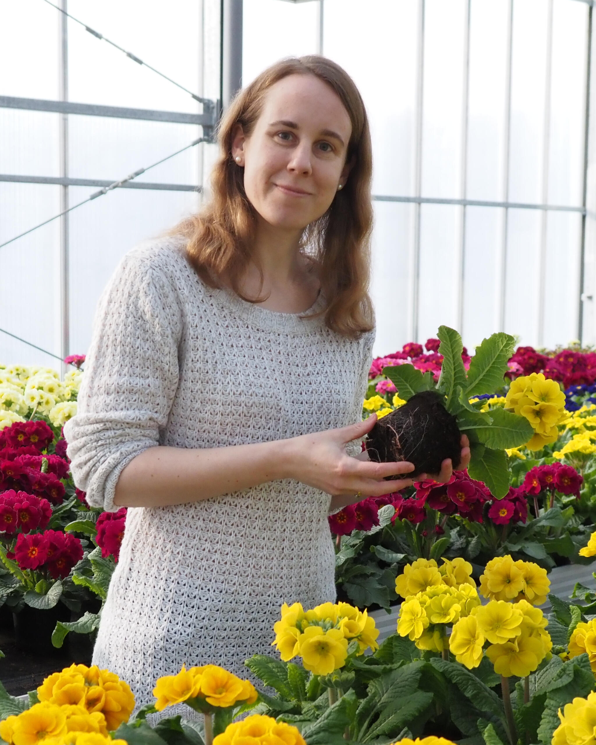 Dr. Anne Bergmann