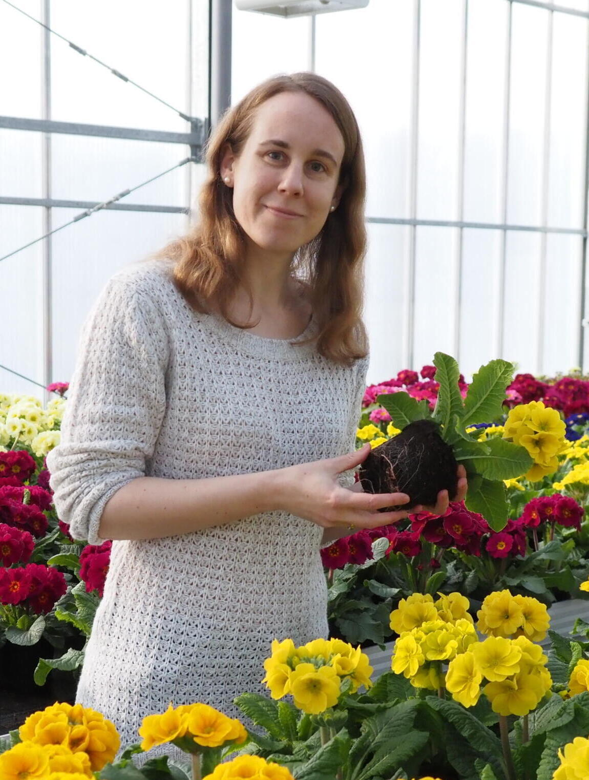 Dr. Anne Bergmann